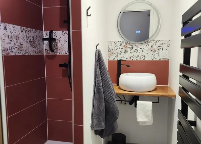 Appartement Le Coq'oon De *