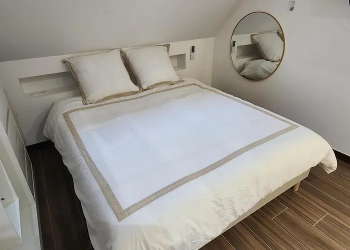 Le Coq'oon De Appartement Challes